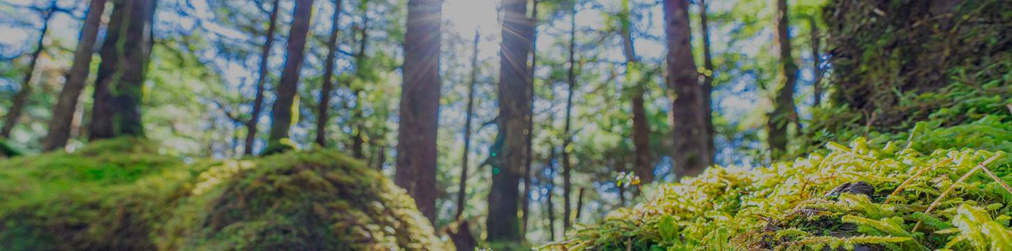 株式会社　環境設備計画