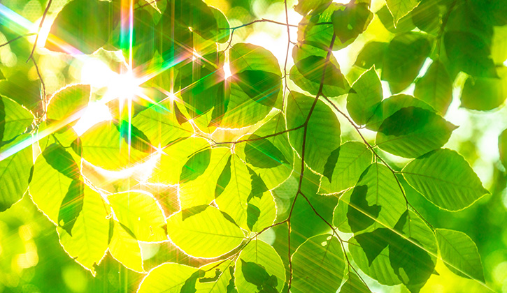 株式会社　環境設備計画